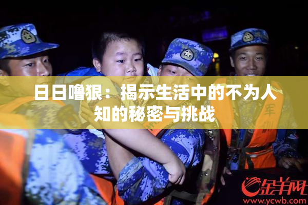 日日噜狠：揭示生活中的不为人知的秘密与挑战