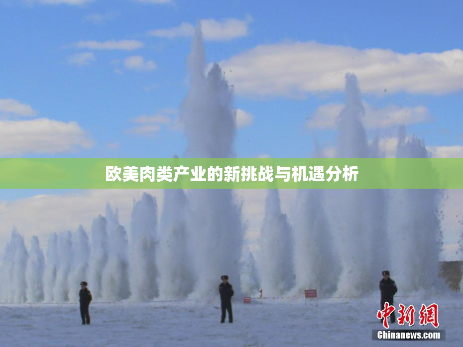 欧美肉类产业的新挑战与机遇分析
