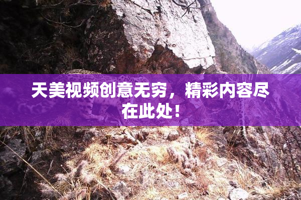 天美视频创意无穷，精彩内容尽在此处！