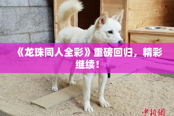 《龙珠同人全彩》重磅回归，精彩继续！
