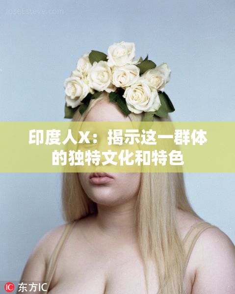 印度人X：揭示这一群体的独特文化和特色