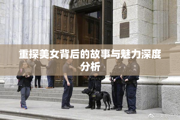 重探美女背后的故事与魅力深度分析