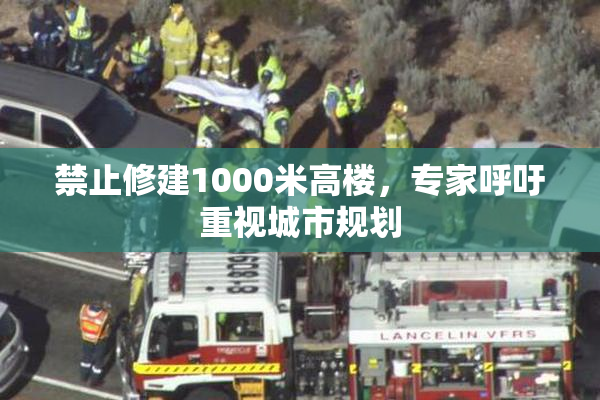 禁止修建1000米高楼，专家呼吁重视城市规划