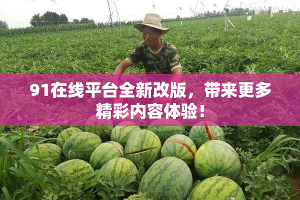 91在线平台全新改版，带来更多精彩内容体验！