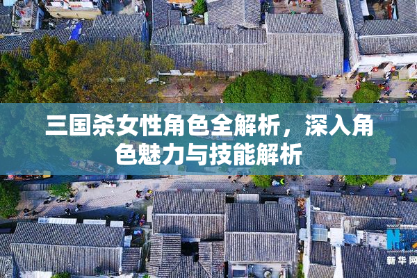 三国杀女性角色全解析，深入角色魅力与技能解析