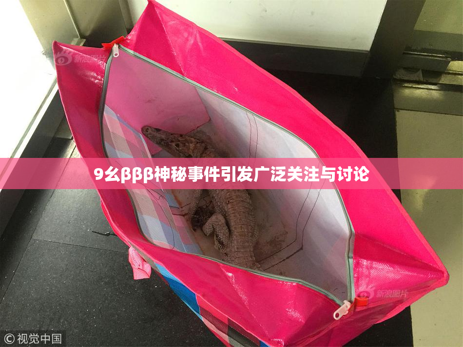9幺βββ神秘事件引发广泛关注与讨论