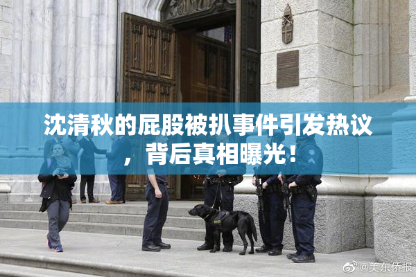 沈清秋的屁股被扒事件引发热议，背后真相曝光！