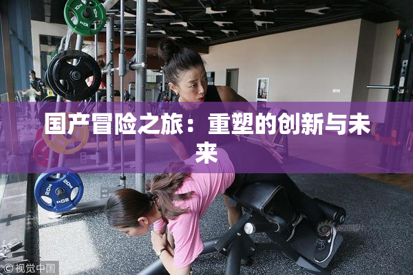 国产冒险之旅：重塑的创新与未来