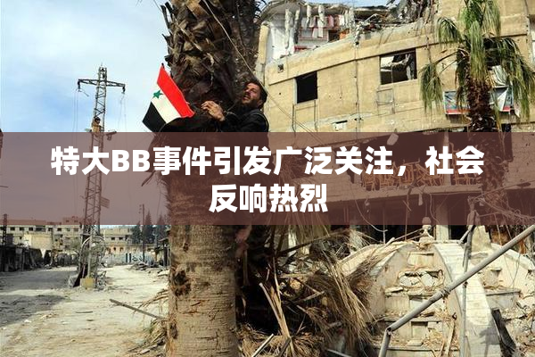 特大BB事件引发广泛关注，社会反响热烈