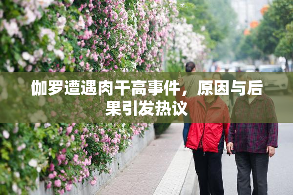伽罗遭遇肉干高事件，原因与后果引发热议