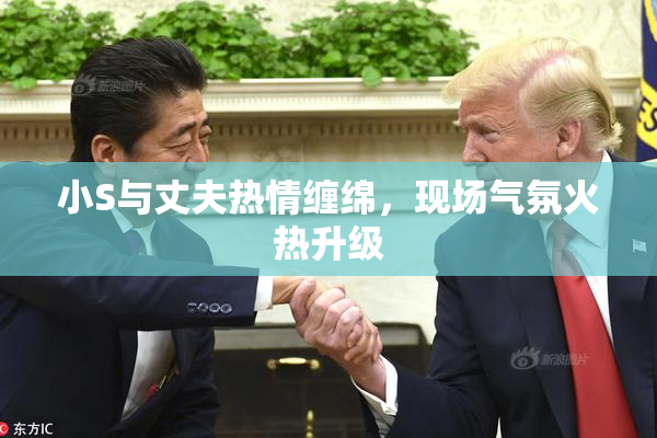 小S与丈夫热情缠绵，现场气氛火热升级