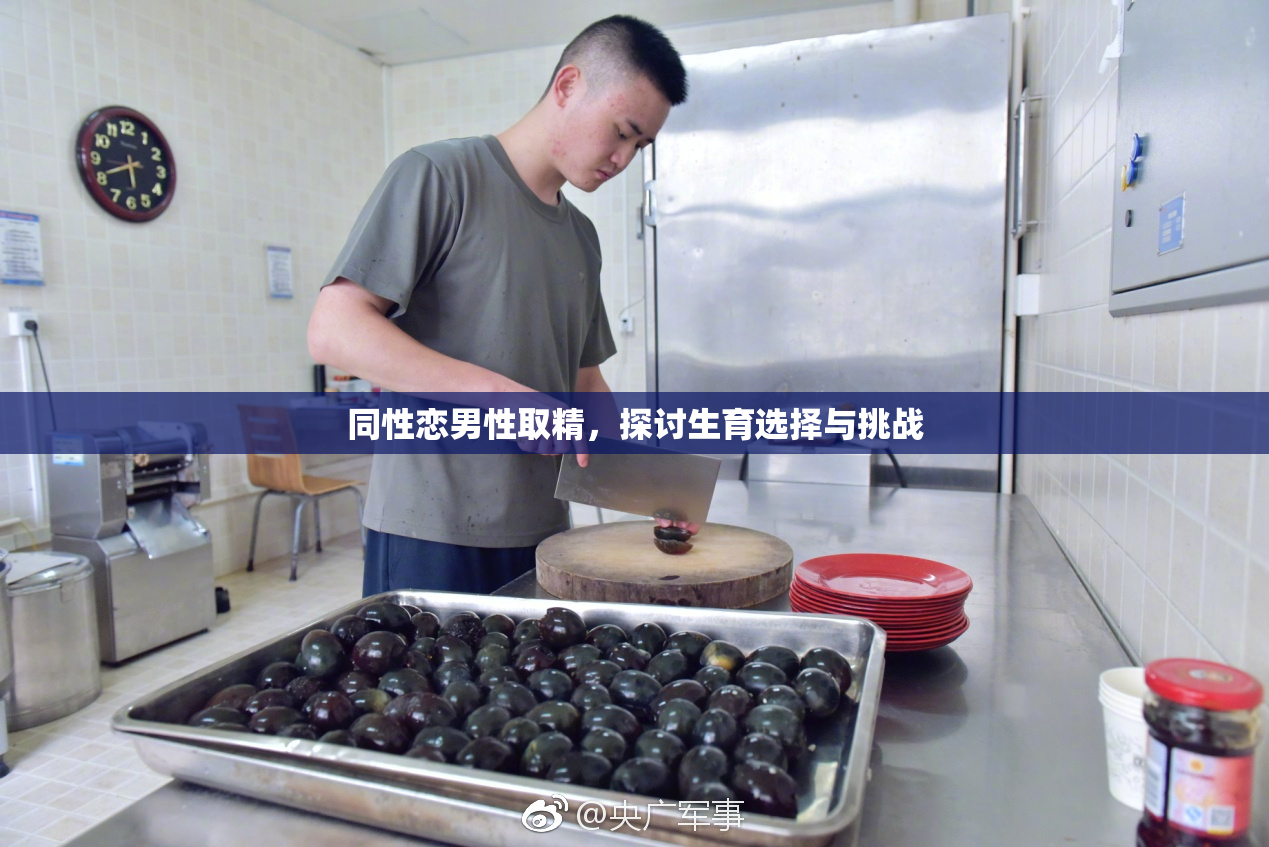 同性恋男性取精，探讨生育选择与挑战