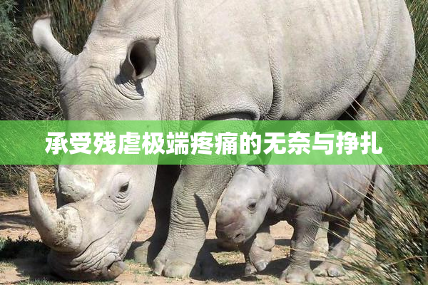 承受残虐极端疼痛的无奈与挣扎