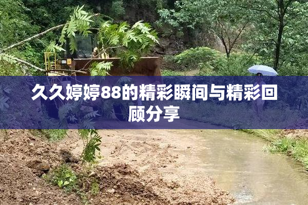 久久婷婷88的精彩瞬间与精彩回顾分享