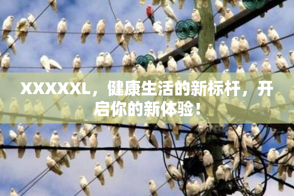 XXXXXL，健康生活的新标杆，开启你的新体验！