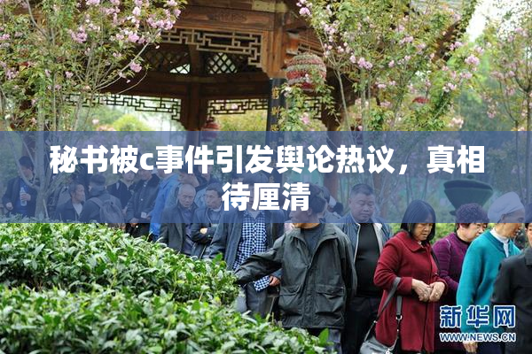 秘书被c事件引发舆论热议，真相待厘清