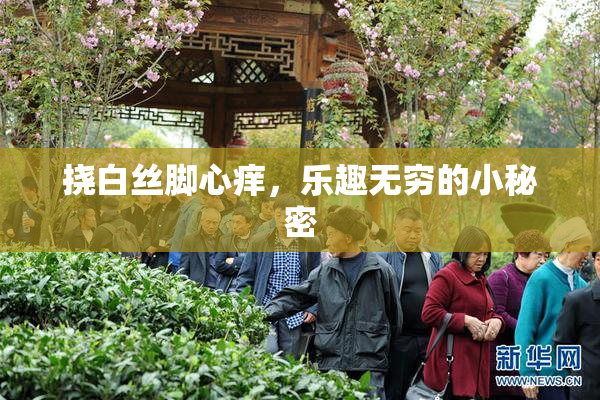 挠白丝脚心痒，乐趣无穷的小秘密