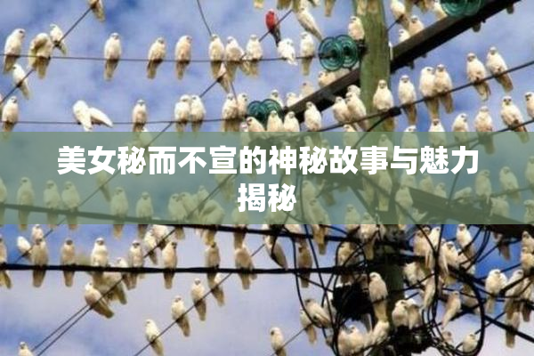美女秘而不宣的神秘故事与魅力揭秘