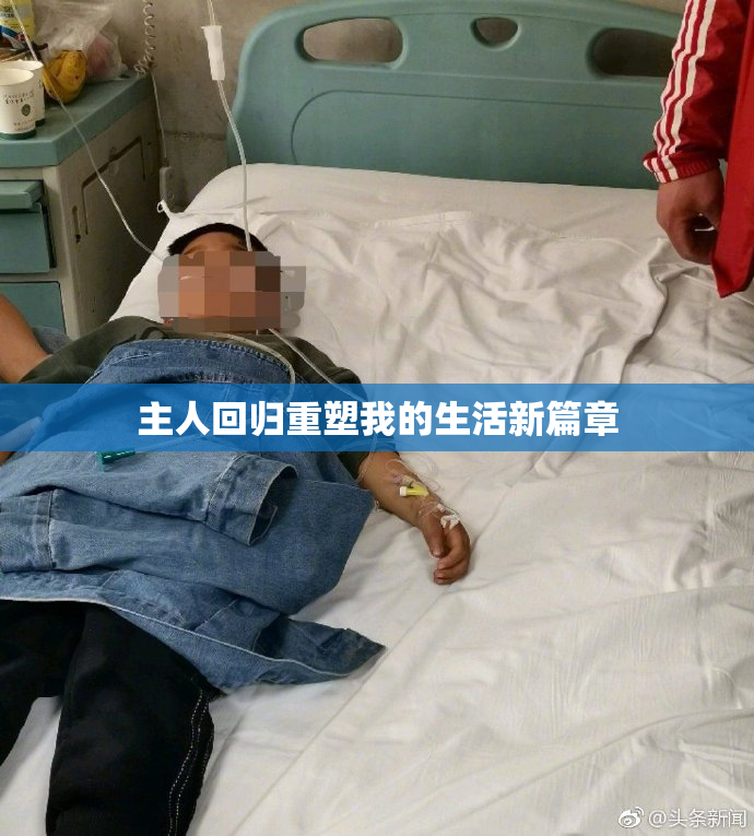 主人回归重塑我的生活新篇章
