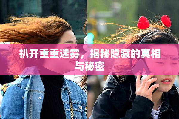 扒开重重迷雾，揭秘隐藏的真相与秘密