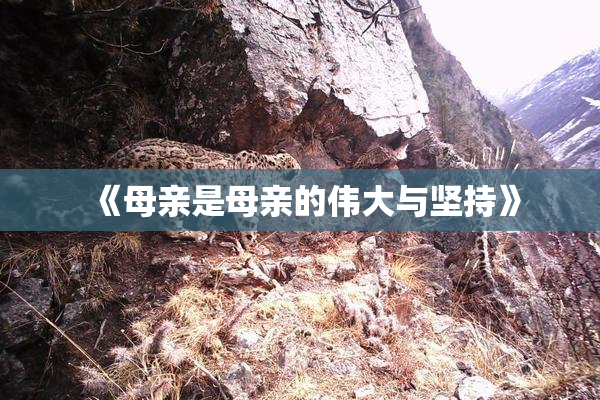 《母亲是母亲的伟大与坚持》