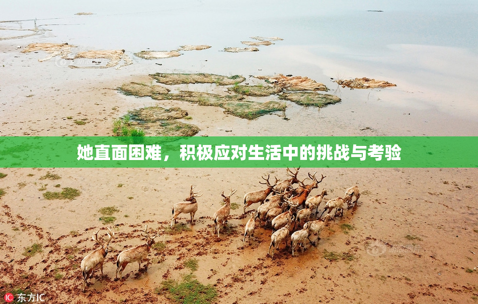 她直面困难，积极应对生活中的挑战与考验