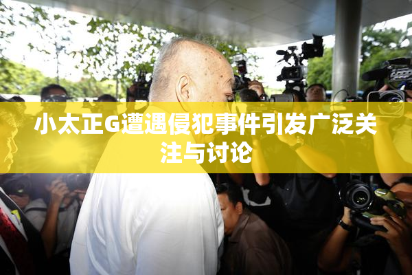 小太正G遭遇侵犯事件引发广泛关注与讨论