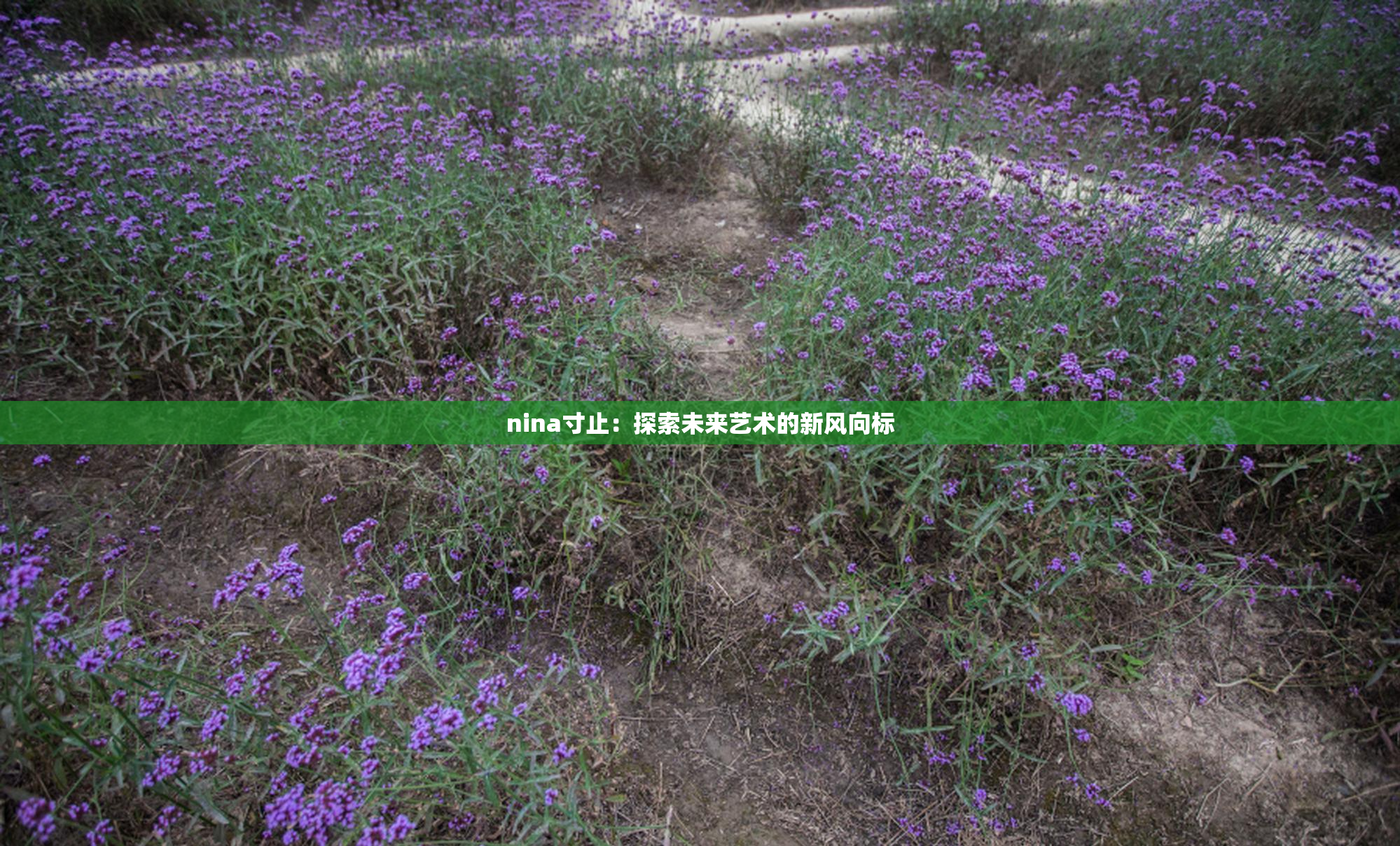 nina寸止：探索未来艺术的新风向标