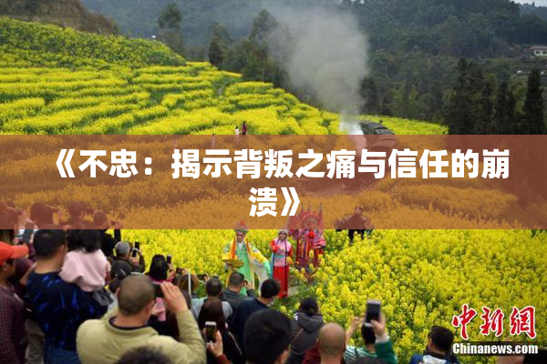《不忠：揭示背叛之痛与信任的崩溃》