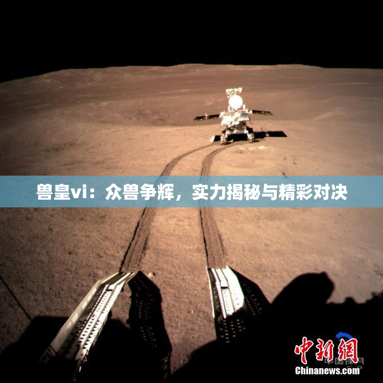 兽皇vi：众兽争辉，实力揭秘与精彩对决