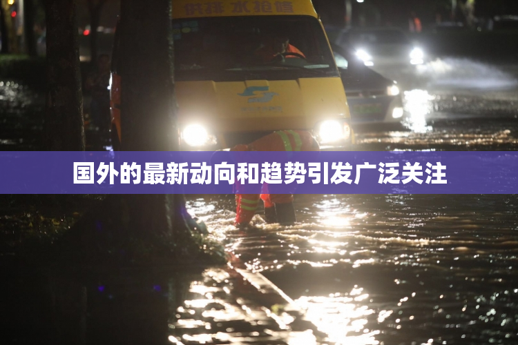 国外的最新动向和趋势引发广泛关注
