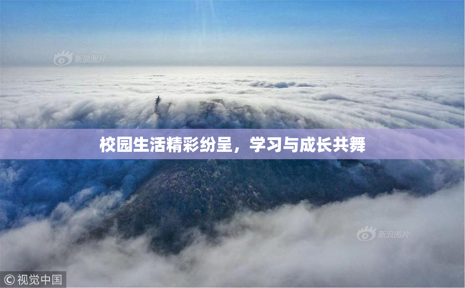 校园生活精彩纷呈，学习与成长共舞