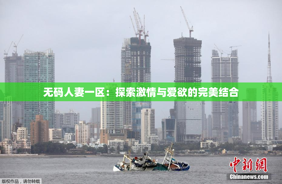 无码人妻一区：探索激情与爱欲的完美结合