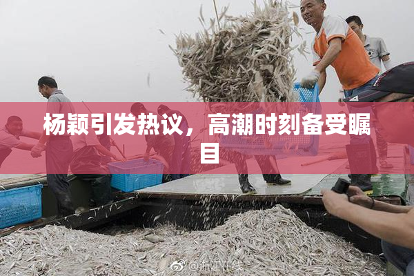 杨颖引发热议，高潮时刻备受瞩目