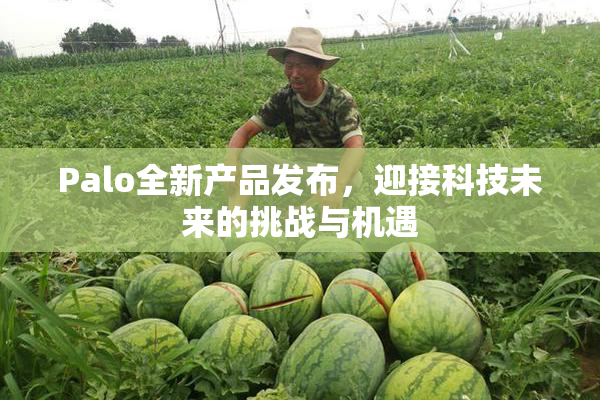 Palo全新产品发布，迎接科技未来的挑战与机遇