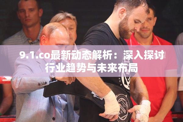 9.1.co最新动态解析：深入探讨行业趋势与未来布局