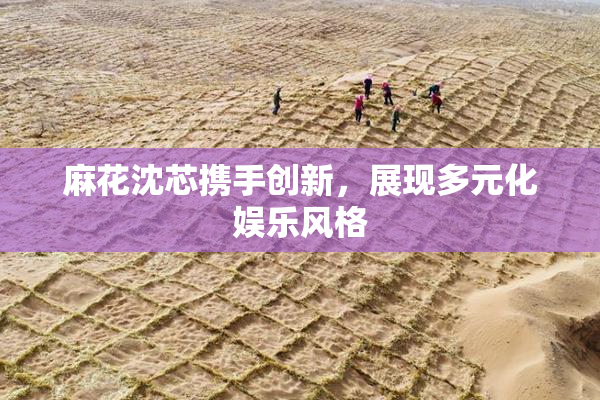 麻花沈芯携手创新，展现多元化娱乐风格