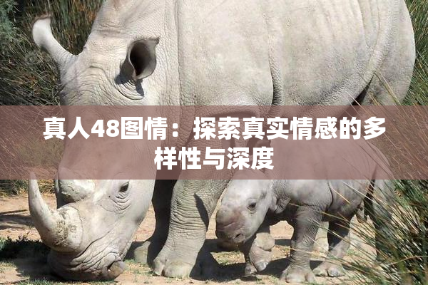 真人48图情：探索真实情感的多样性与深度