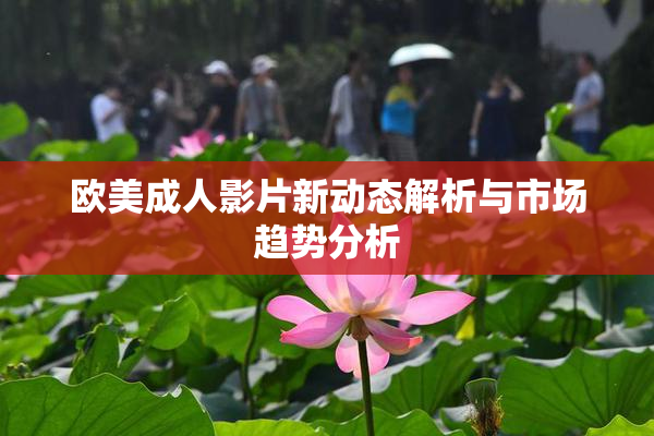欧美成人影片新动态解析与市场趋势分析
