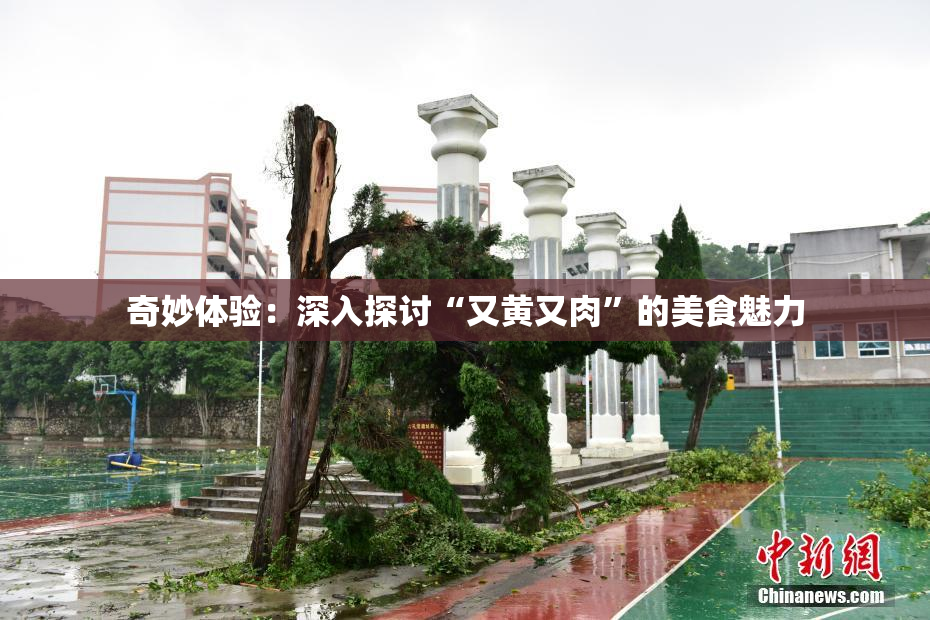 奇妙体验：深入探讨“又黄又肉”的美食魅力