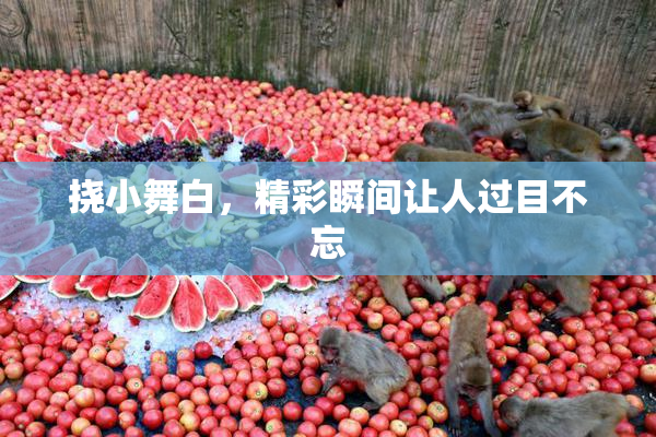 挠小舞白，精彩瞬间让人过目不忘