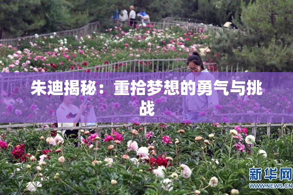 朱迪揭秘：重拾梦想的勇气与挑战