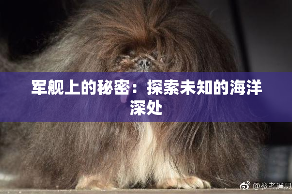 军舰上的秘密：探索未知的海洋深处