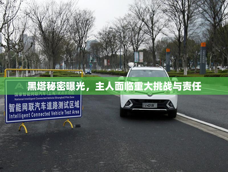 黑塔秘密曝光，主人面临重大挑战与责任