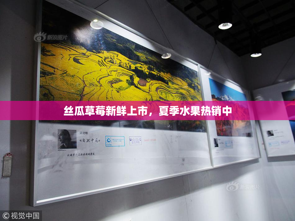 丝瓜草莓新鲜上市，夏季水果热销中