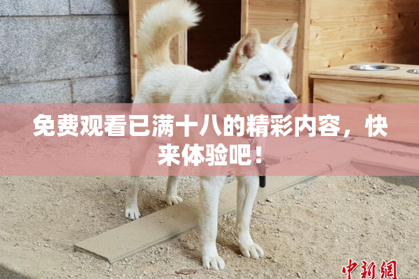 免费观看已满十八的精彩内容，快来体验吧！