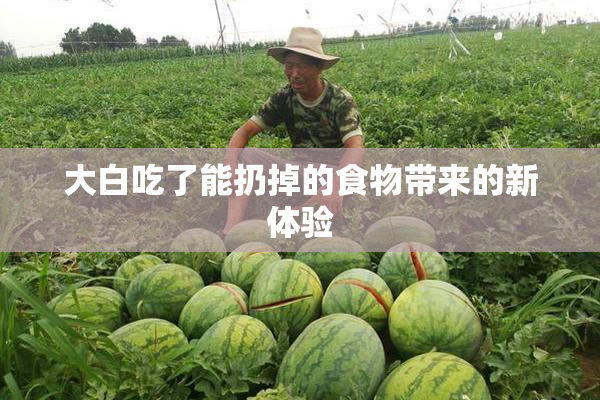 大白吃了能扔掉的食物带来的新体验