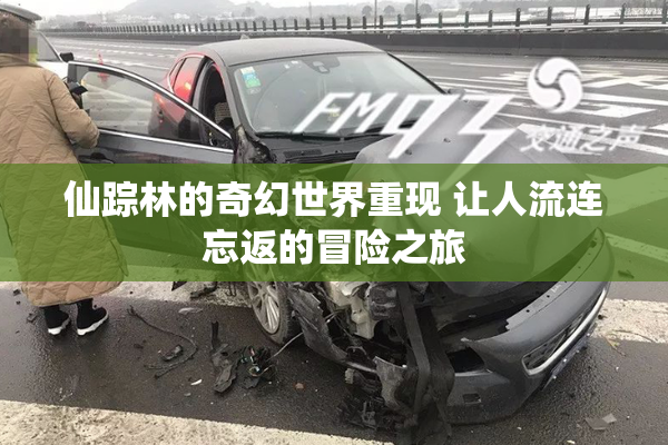 仙踪林的奇幻世界重现 让人流连忘返的冒险之旅