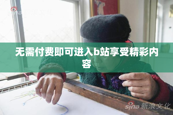 无需付费即可进入b站享受精彩内容