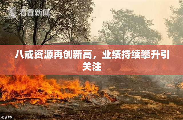 八戒资源再创新高，业绩持续攀升引关注